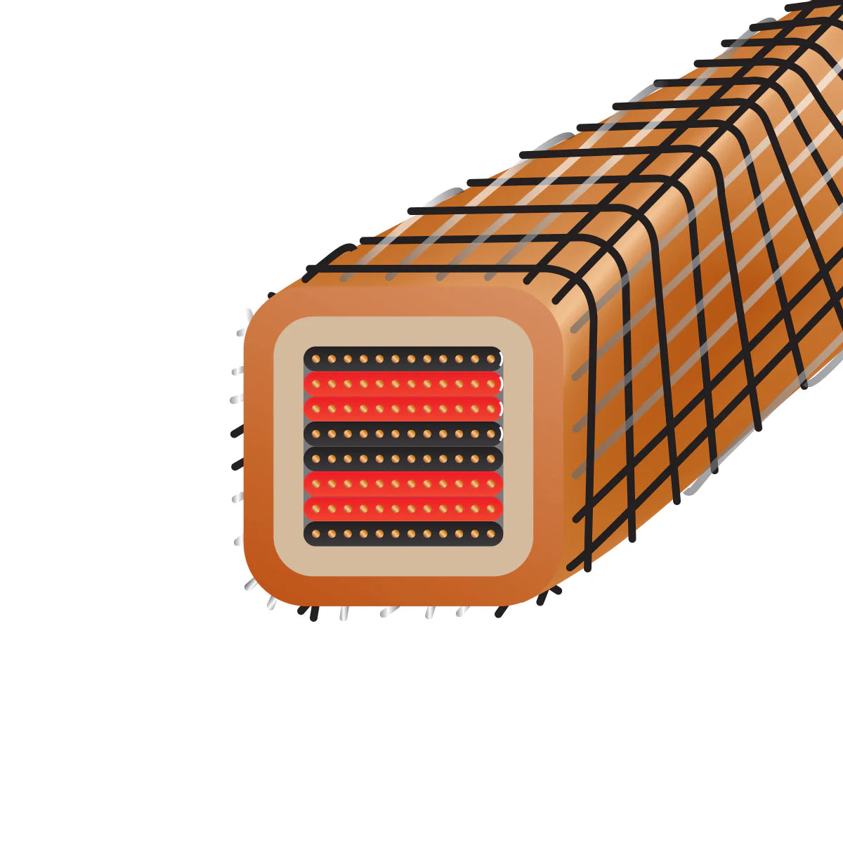 WIREWORLD Eclipse 10 Biwire ECB