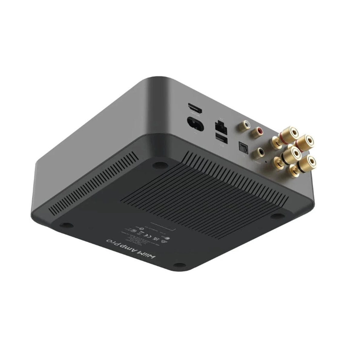Wiim AMP