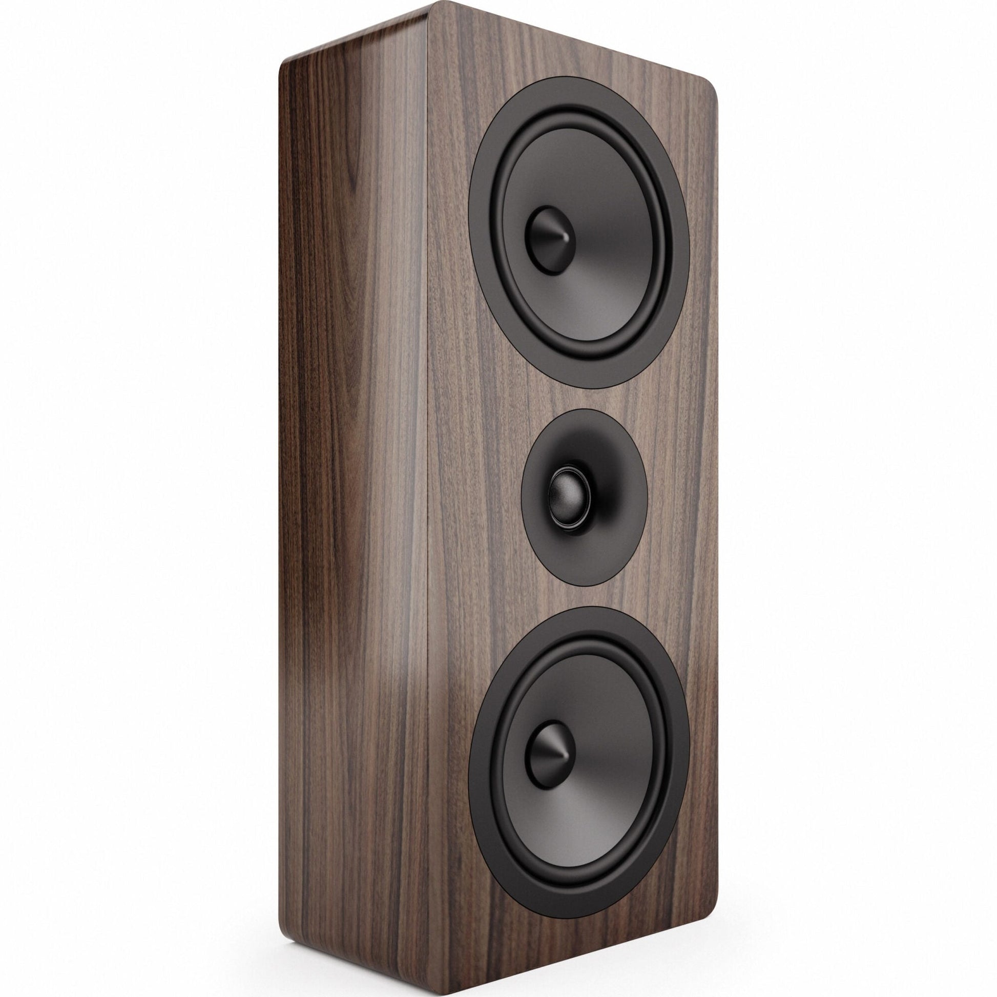 Acoustic energy AE105 