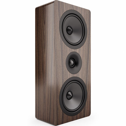 Acoustic energy AE105 