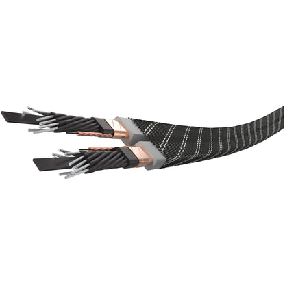 WIREWORLD PLATINUM ELECTRA 10 (PEP)