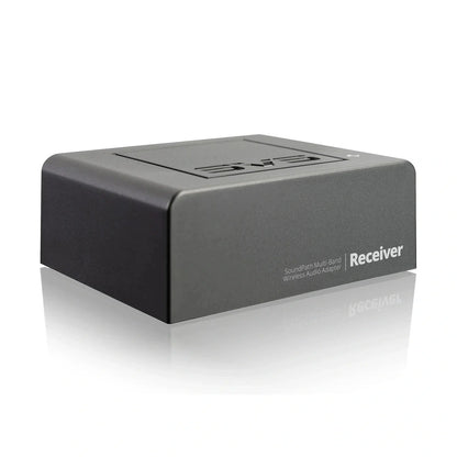 SVS SoundPath Multi - Band Wireless Receiver 