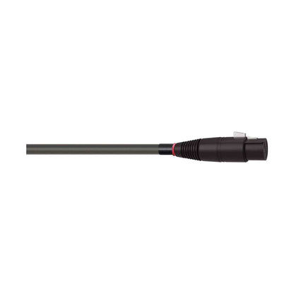 WIREWORLD EQUINOX 10 QBI 