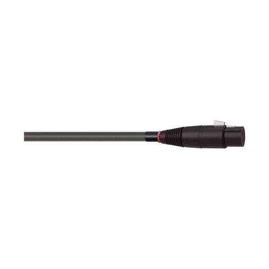 WIREWORLD EQUINOX 10 QBI 