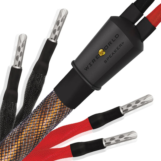 WIREWORLD Eclipse 10 Biwire ECB 
