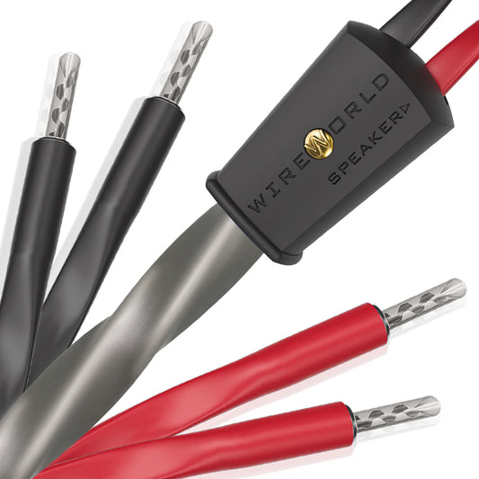 WIREWORLD Equinox 10 EQB 