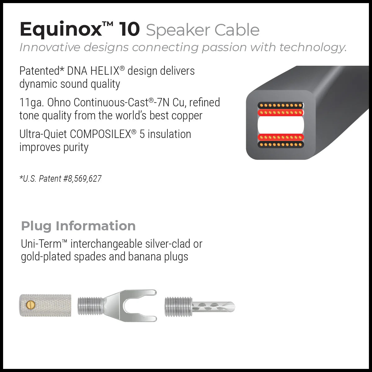WIREWORLD Equinox 10 EQB 