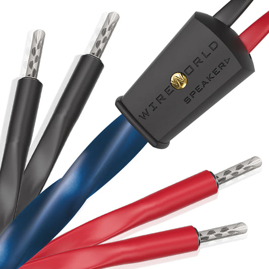 WIREWORLD OASIS 10 OAB 