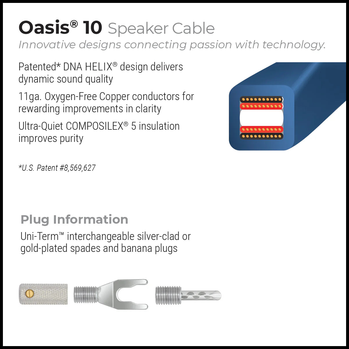 WIREWORLD OASIS 10 OAS 