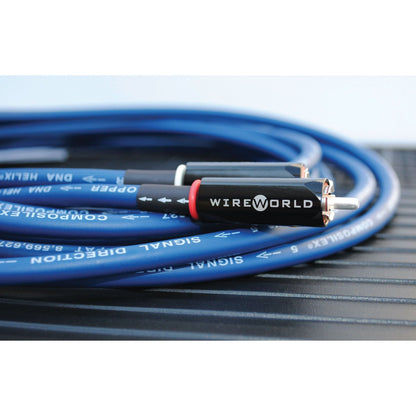 WIREWORLD OASIS 10 OAI 