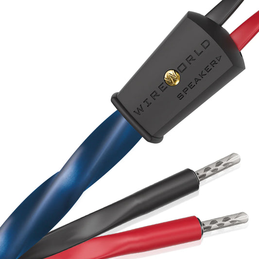 WIREWORLD OASIS 10 OAS 