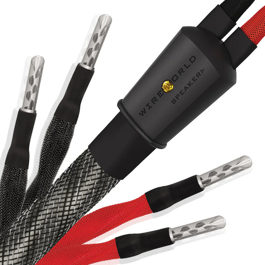WIREWORLD Silver Eclipse 10 SEB 