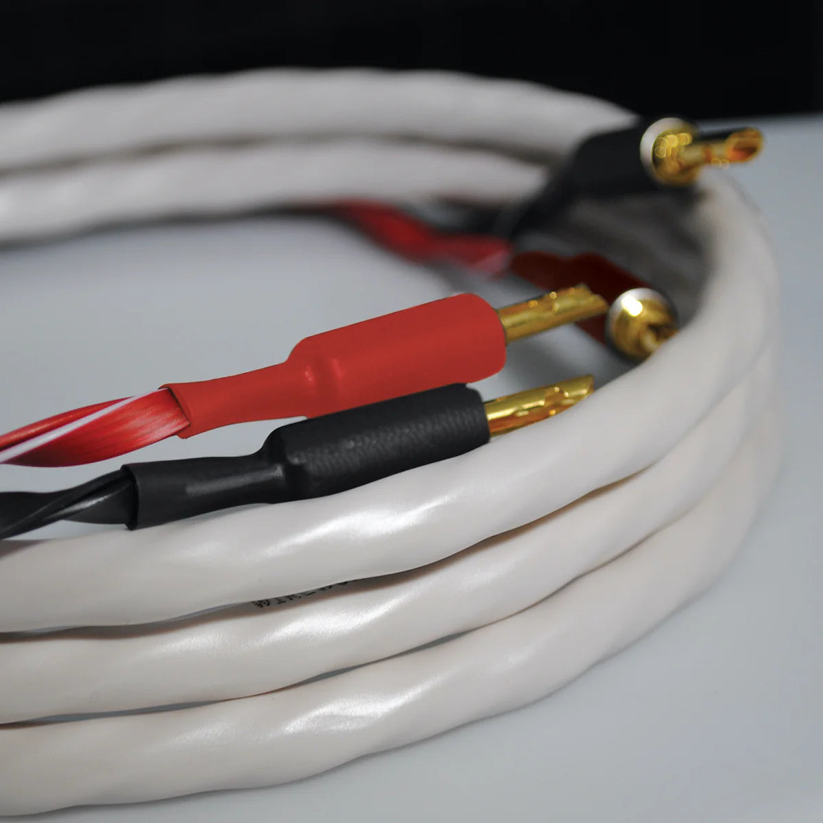 WIREWORLD Solstice 10 SOB 
