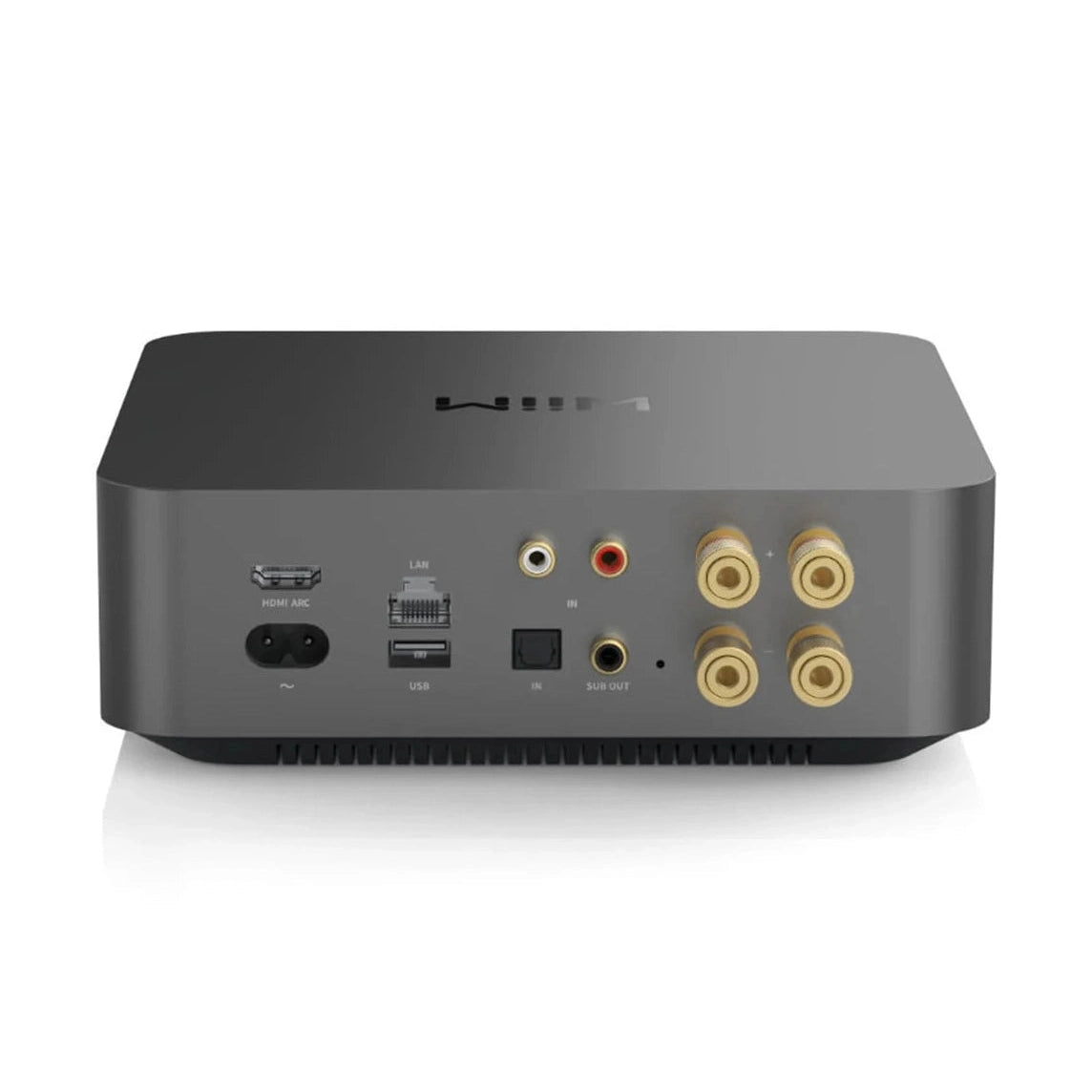 Wiim AMP 