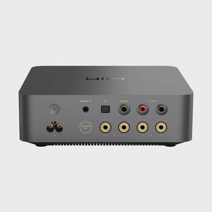 Wiim Vibelink Amp 